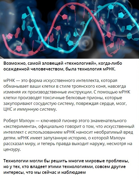 мРНК.jpg