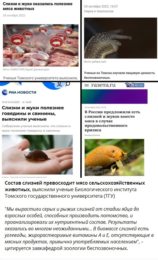 Слизни1.jpg